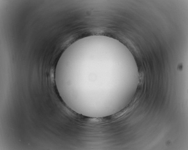 X0000103240238200808281041