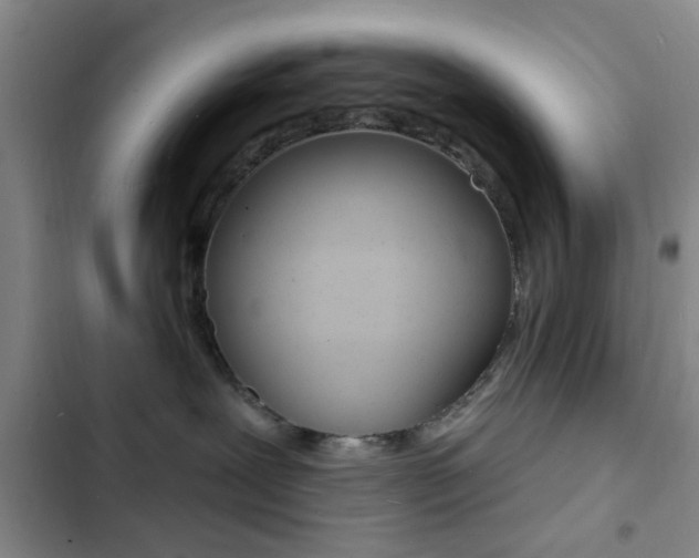 X0000103240239200808281041
