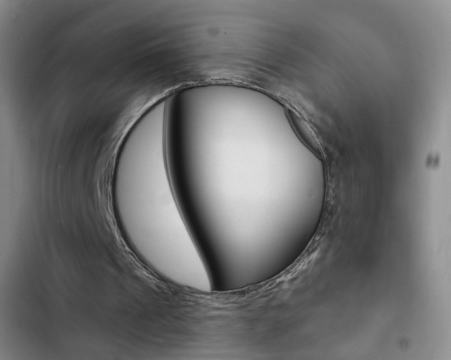 X0000103240241200808281040