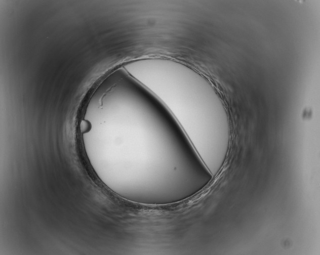 X0000103240242200808281040