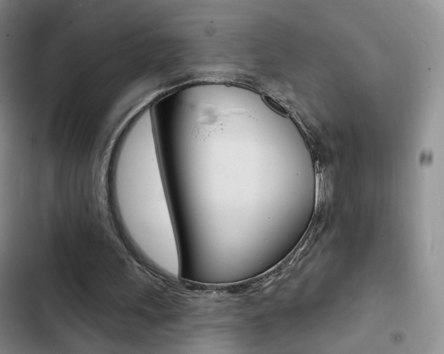 X0000103240243200808281040