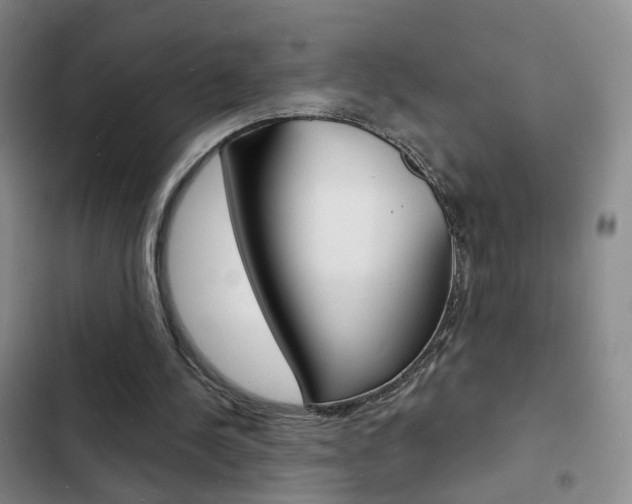 X0000103240244200808281040
