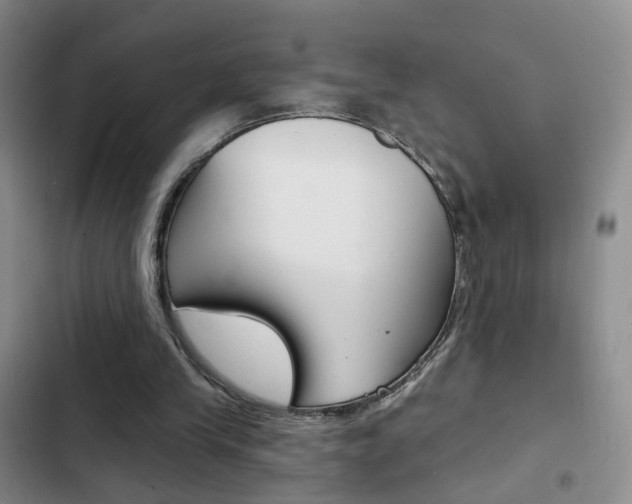 X0000103240245200808281040
