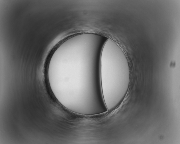 X0000103240246200808281040