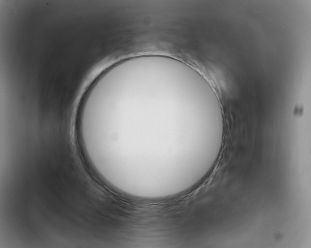 X0000103240248200808281040