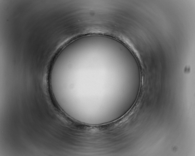 X0000103240249200808281040