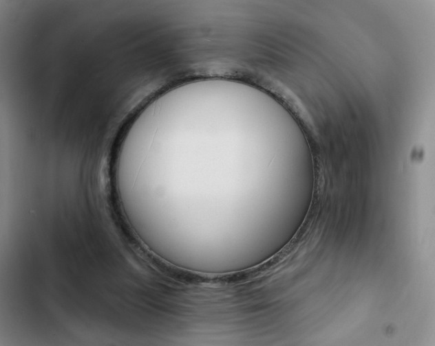 X0000103240251200808281040
