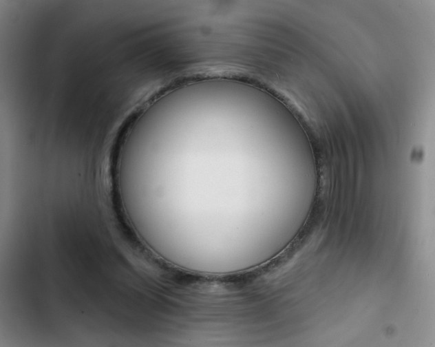 X0000103240254200808281040