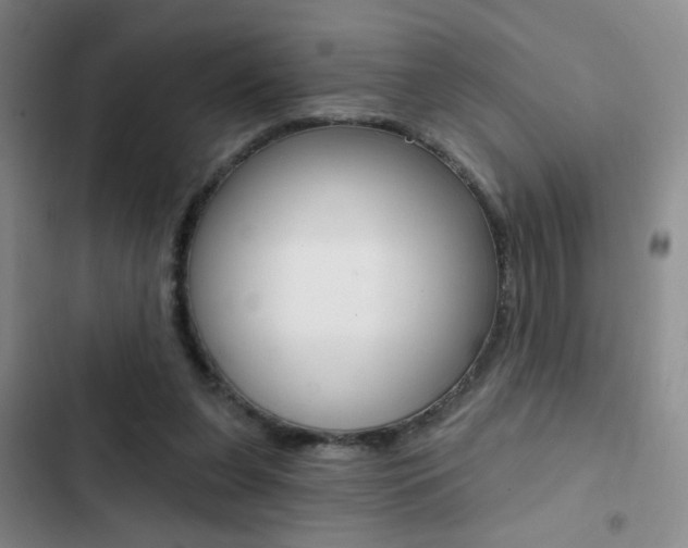 X0000103240255200808281040