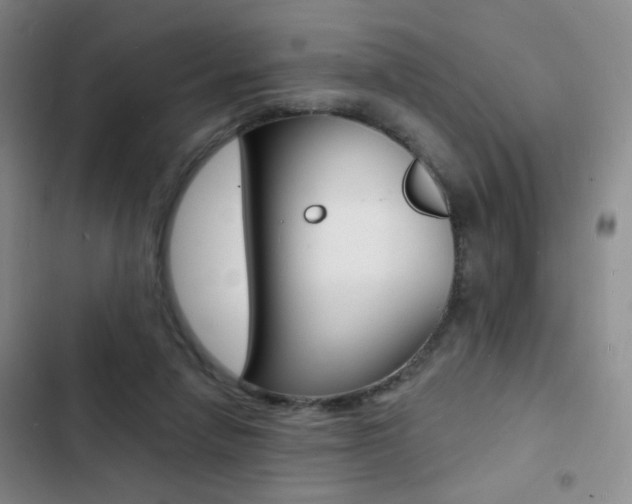 X0000103240258200808281040
