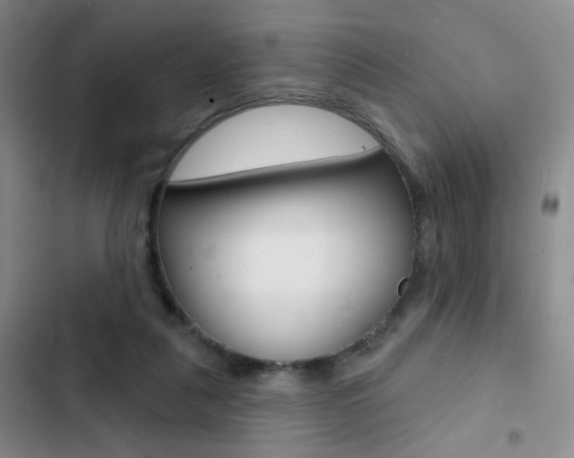 X0000103240259200808281040