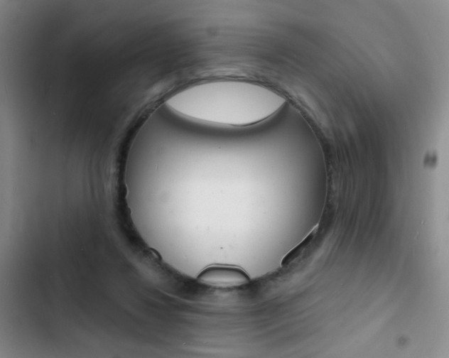 X0000103240260200808281040