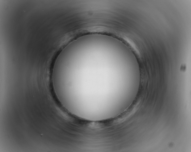X0000103240261200808281040