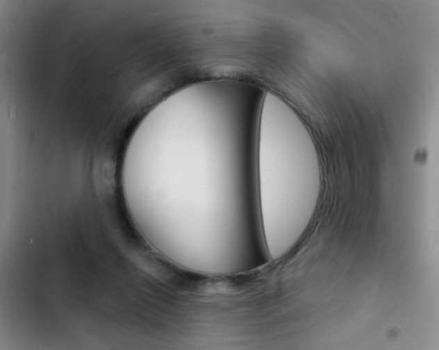 X0000103240262200808281040