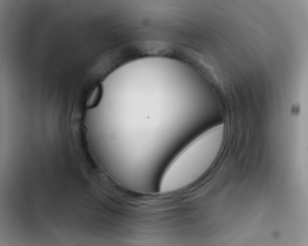 X0000103240263200808281040
