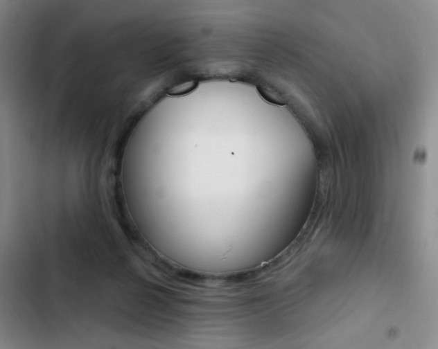 X0000103240264200808281040