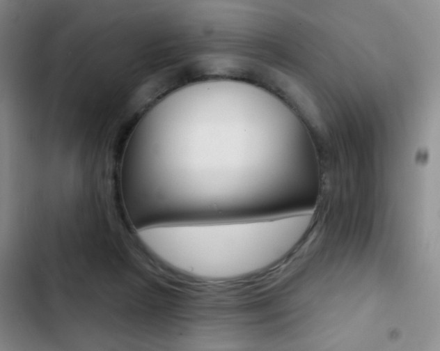 X0000103240265200808281040