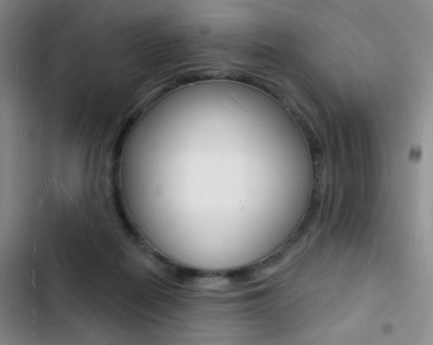 X0000103240266200808281040