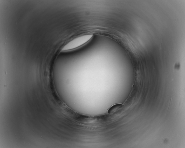 X0000103240267200808281040