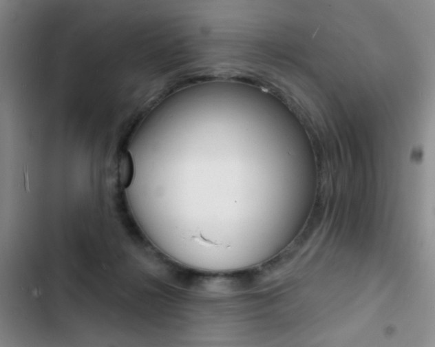 X0000103240268200808281040
