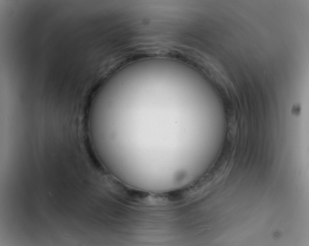 X0000103240270200808281040