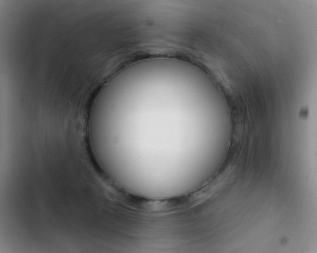 X0000103240273200808281040