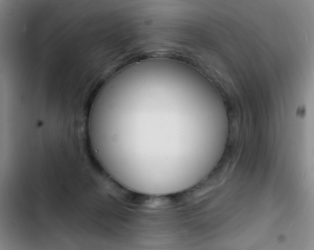X0000103240274200808281040
