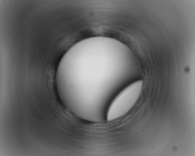 X0000103240275200808281040