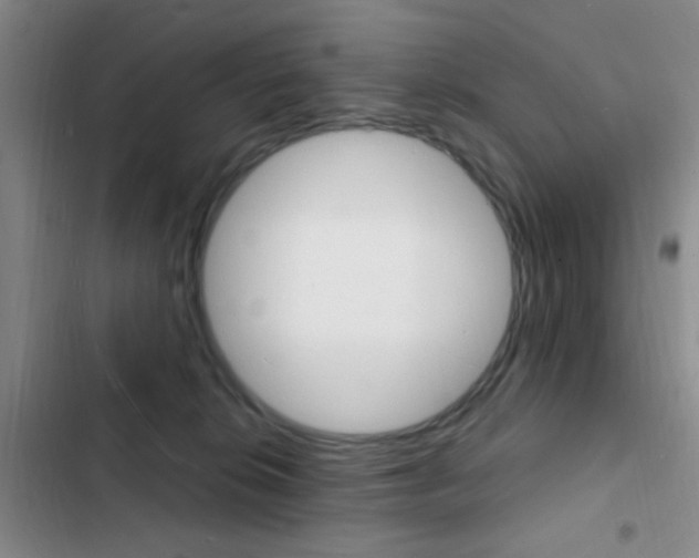 X0000103240276200808281040