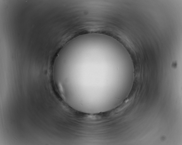 X0000103240277200808281040
