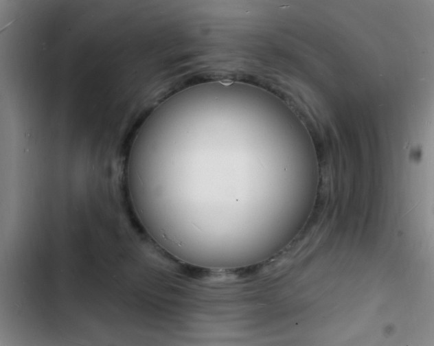 X0000103240278200808281040