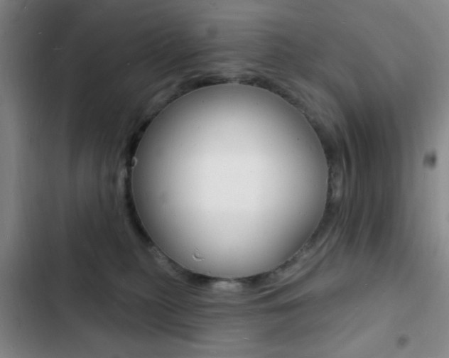X0000103240279200808281040