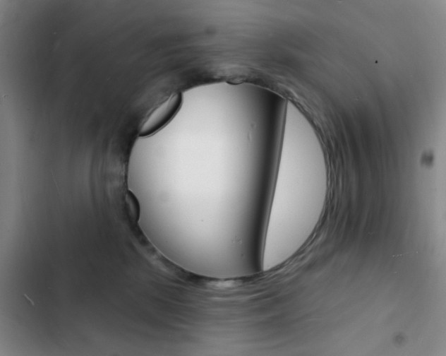 X0000103240281200808281040