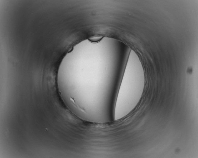 X0000103240282200808281040