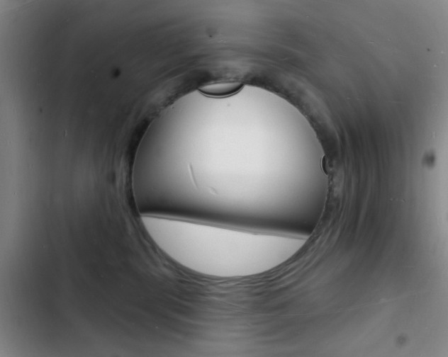 X0000103240283200808281040