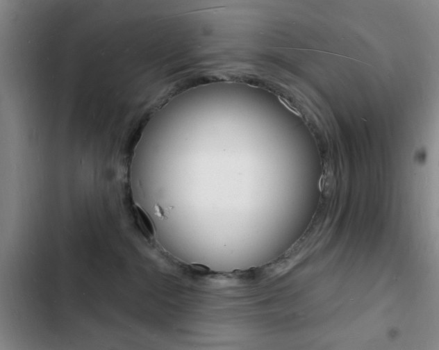 X0000103240284200808281040