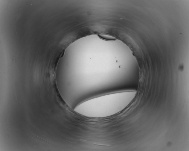 X0000103240285200808281040