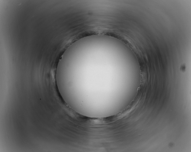 X0000103240286200808281040