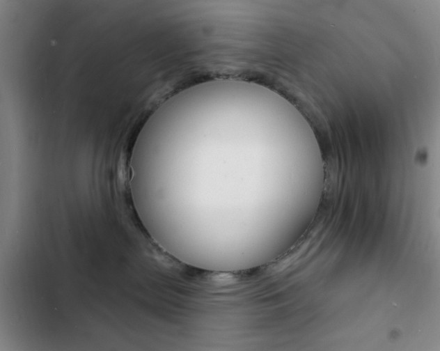X0000103240287200808281040