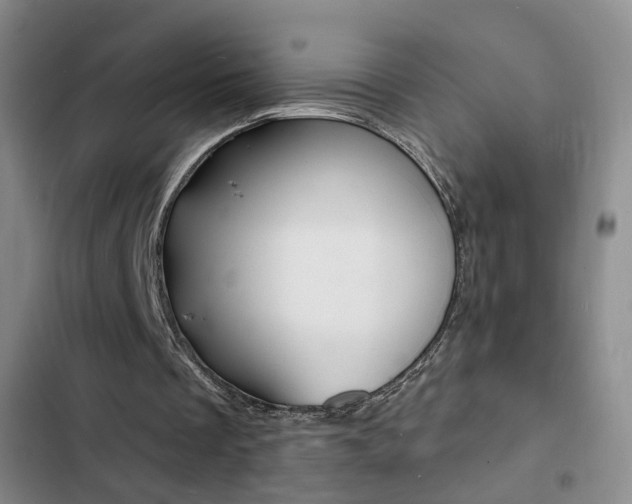 X0000103240289200808281040
