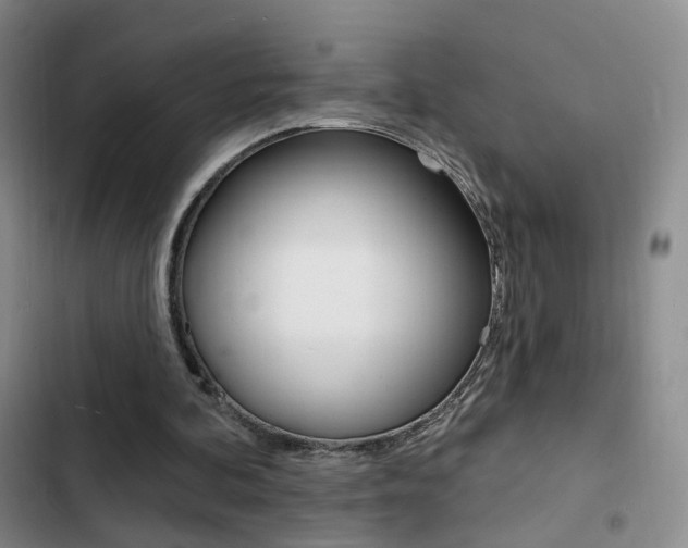 X0000103240292200808281040