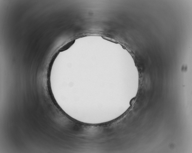 X0000103240293200808281040