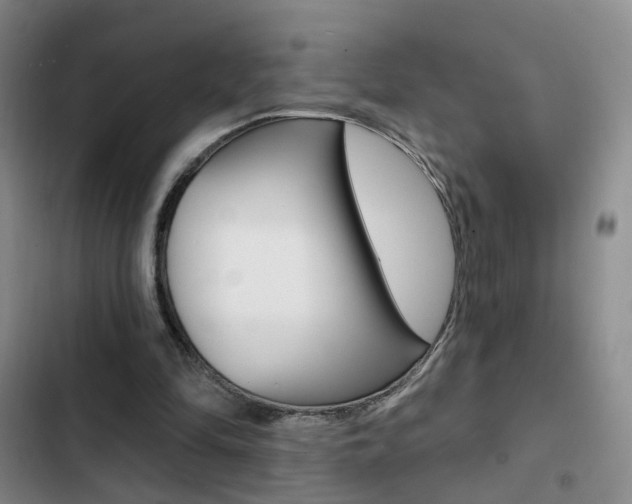 X0000103240294200808281040