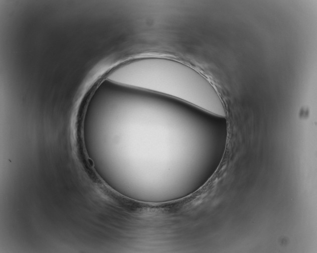 X0000103240296200808281040