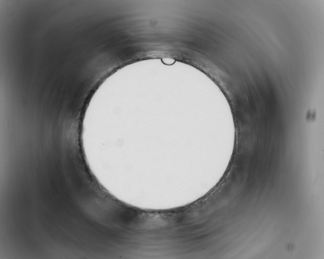 X0000103240297200808281040