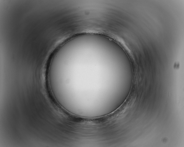 X0000103240299200808281040
