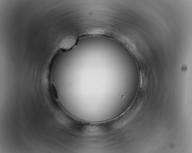 X0000103240300200808281039