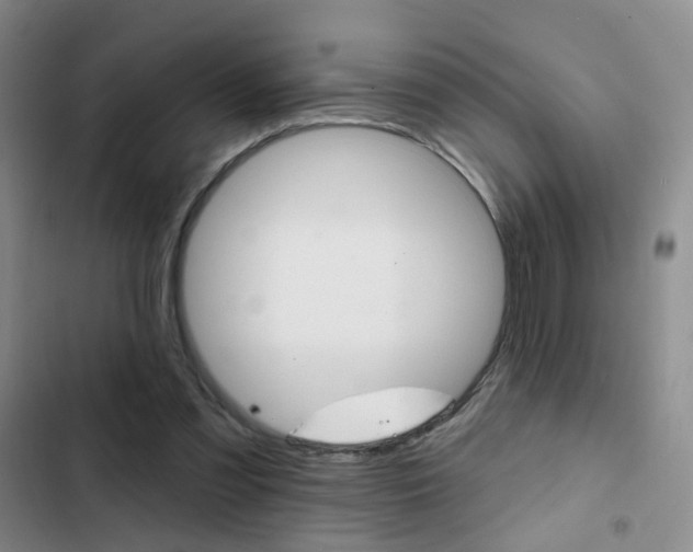 X0000103240301200808281039