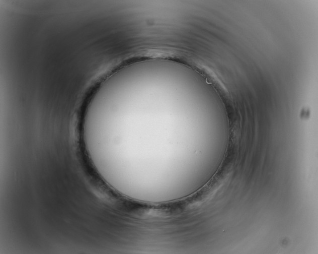 X0000103240303200808281039