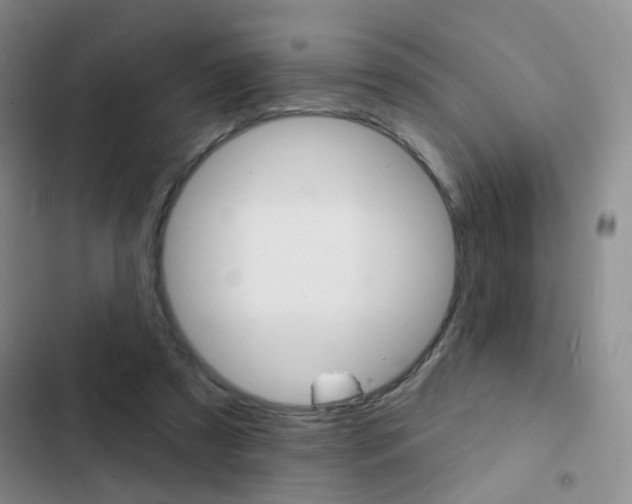 X0000103240305200808281039